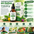 DRENAJE LINFÁTICO - EXTRACTOS HERBALES LÍQUIDOS 60 ML